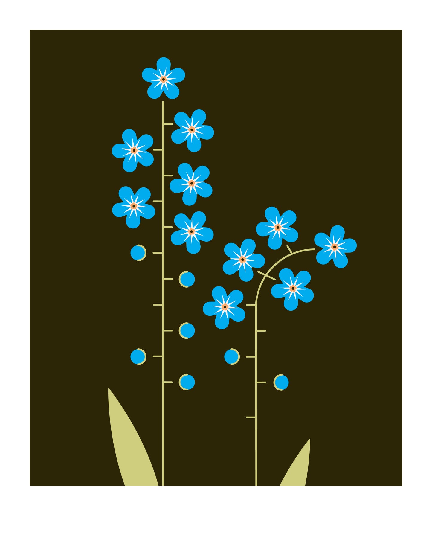 8 X 10 art print featuring two forget me not wild flowers on a dark green background