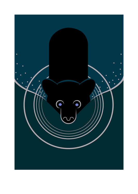 5 X 7 art print featuring a black bear swimming. The bear leaves a ripple and a wake behind him.