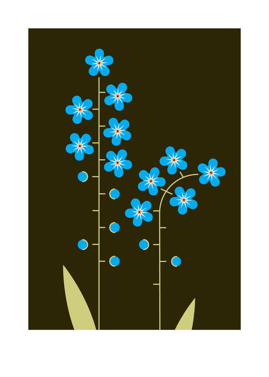 5 X 7 art print featuring two forget me not wild flowers on a dark green background