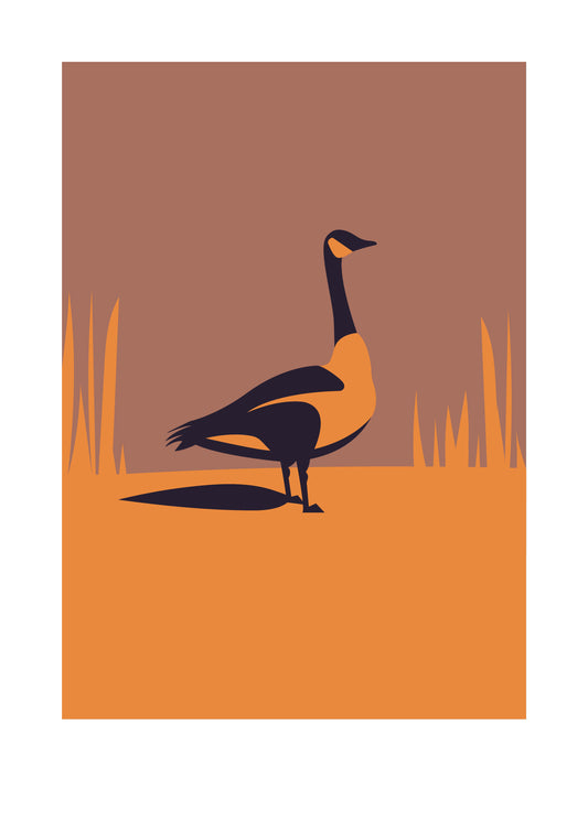 5 X 7 art print featuring a three toned image of a Canada Goose standing proudly between long blades of grass.